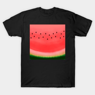 Sweet Sweet Sweet Watermelon T-Shirt